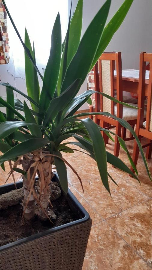 Bajusz Vendeghaz Hotel Tornyosnémeti Exterior foto