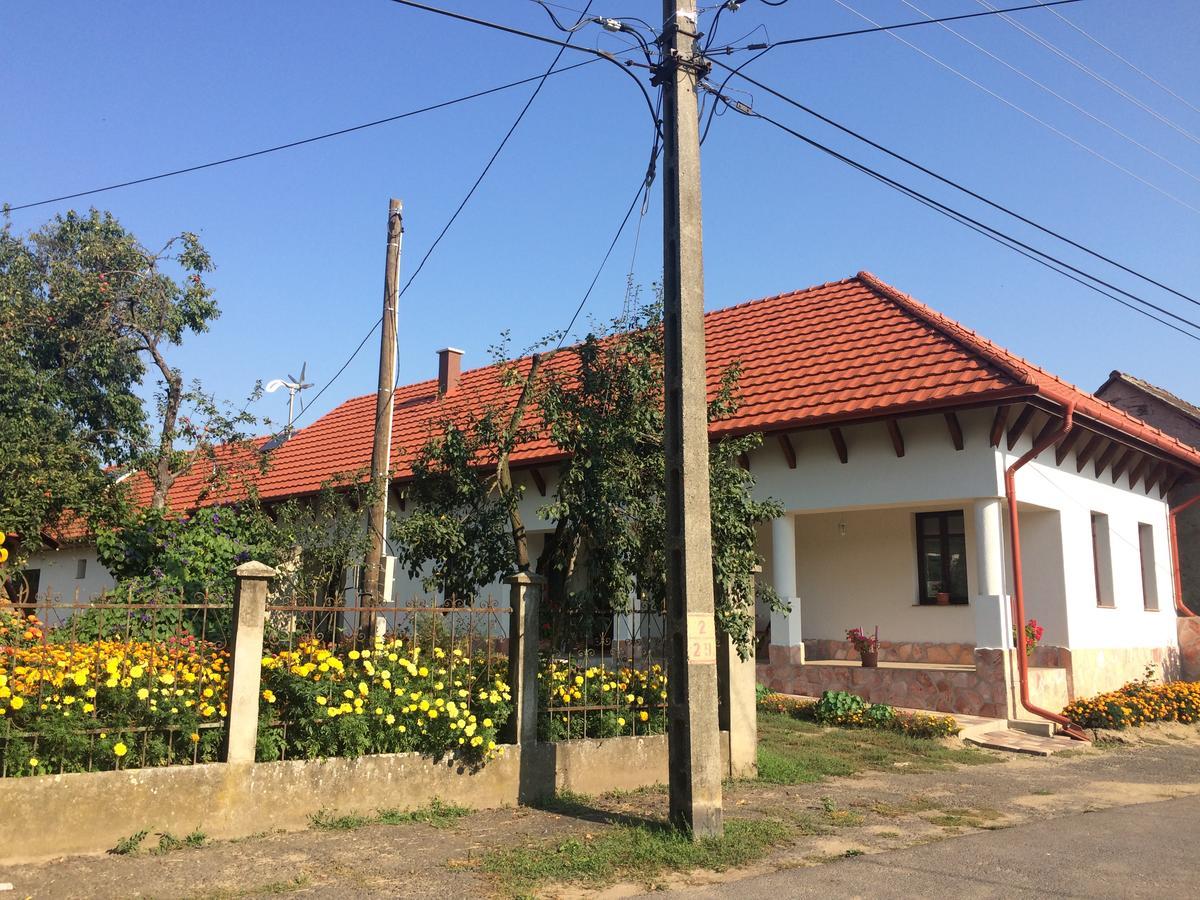 Bajusz Vendeghaz Hotel Tornyosnémeti Exterior foto