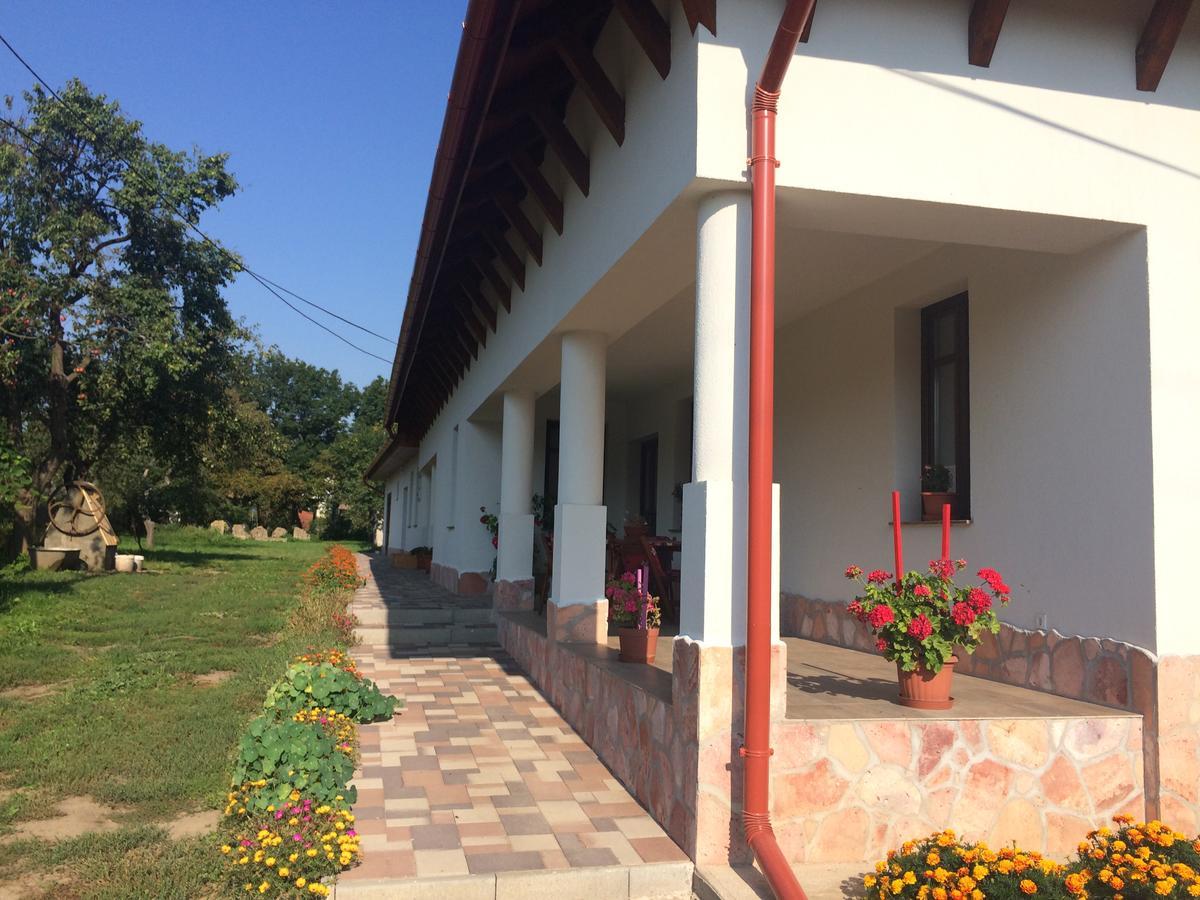 Bajusz Vendeghaz Hotel Tornyosnémeti Exterior foto