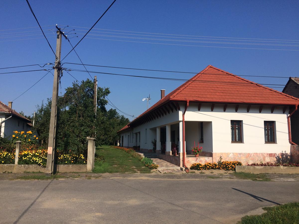 Bajusz Vendeghaz Hotel Tornyosnémeti Exterior foto
