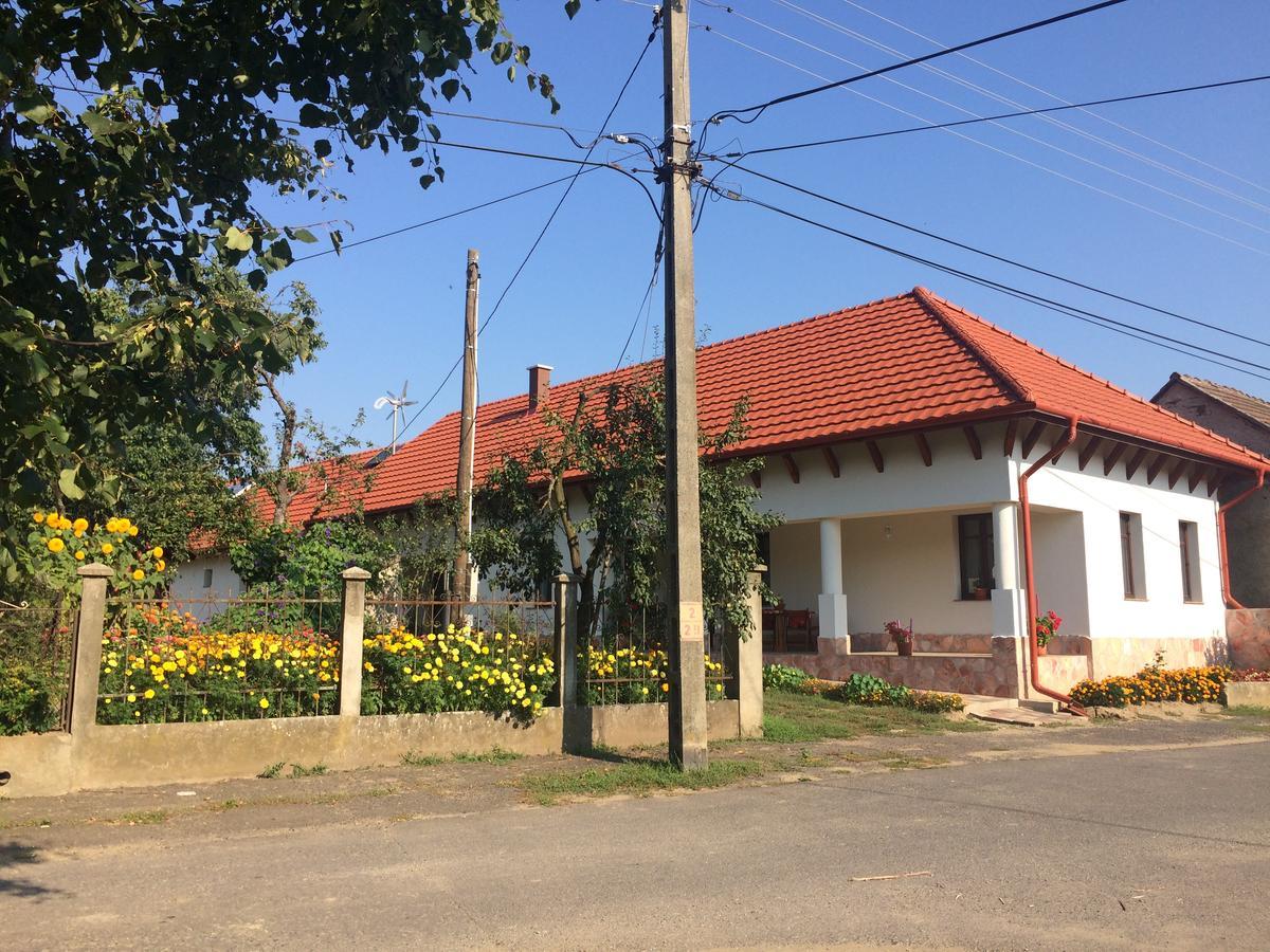 Bajusz Vendeghaz Hotel Tornyosnémeti Exterior foto