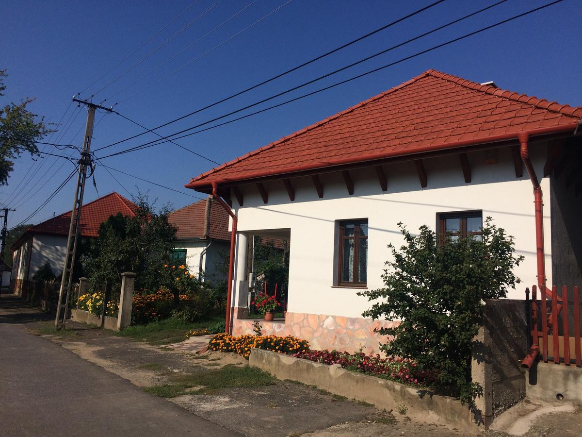 Bajusz Vendeghaz Hotel Tornyosnémeti Exterior foto